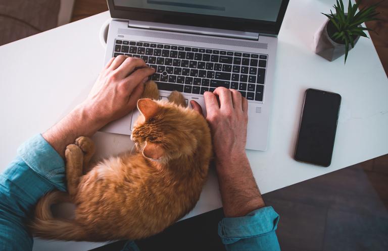 shutterstock_1695637138.jpg Main image of article SQL, Python Compete for Title of Top Programming Language